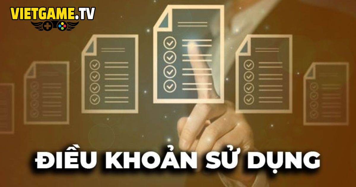 Điều khoản sử dụng Vietgame